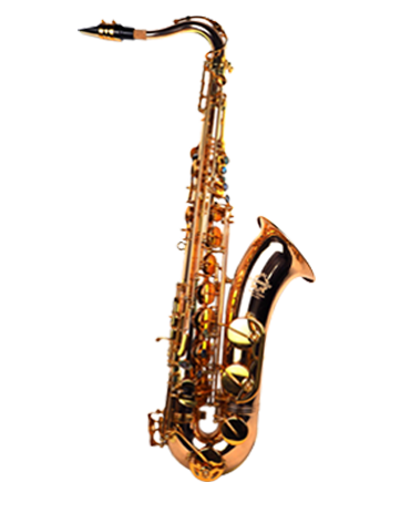 TW-L900 次中音磷銅